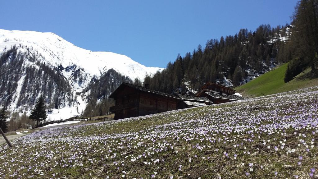 Alfenalm - Ferienwohnungen am Berg - Giatla Haus Innervillgraten Exterior foto